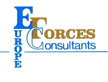 EFC Europe Forces Consultants